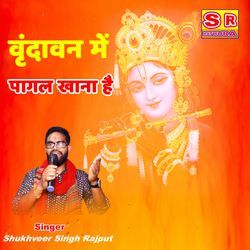 Vrindavan Mein Pagal Khana Hai