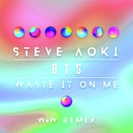 Waste It On Me (W&W Remix)