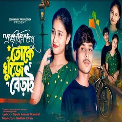 A Jibon Sudhu Toke Khuje Berai