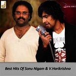 Best Hits Of Sonu Nigam & V. Harikrishna