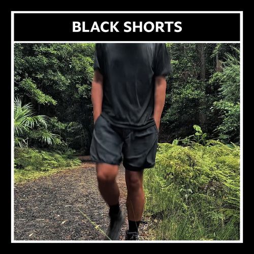 Dingo cover art