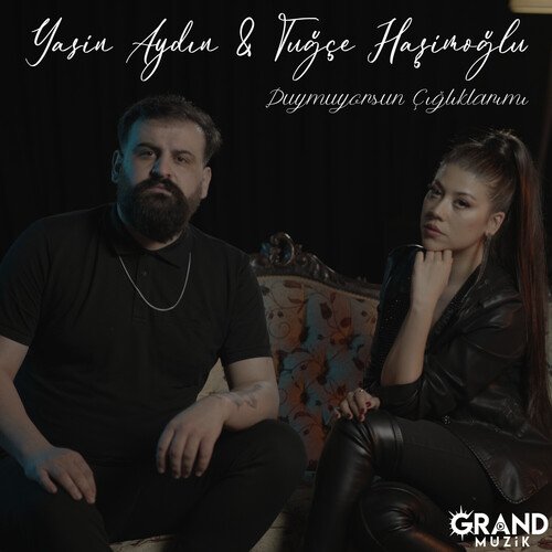 Duymuyorsun Çığlıklarımı cover art