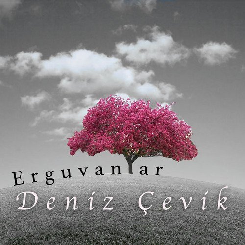 Erguvanlar_poster_image