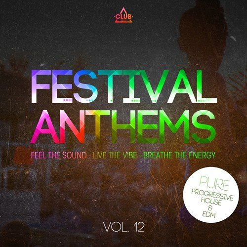 Festival Anthems, Vol. 12 (Pure Progressive House & Edm)