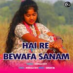 Hai Re Bewafa Sanam
