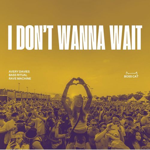 I Don't Wanna Wait (Techno Sped Up)