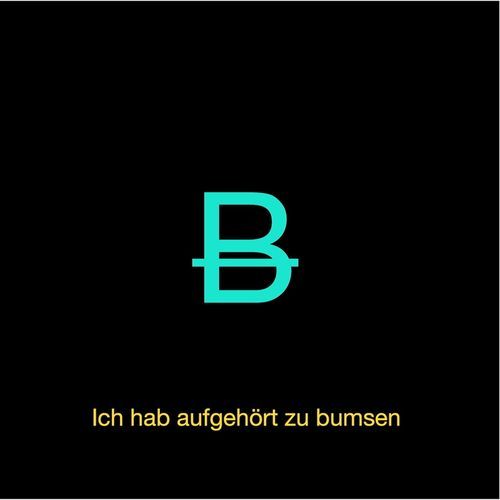 Ich hab aufgehört zu bumsen (Wemke MIX)
