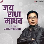 Jai Radha Madhav Lofi Flip