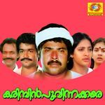 Karimbin Poovinakkare (Original Motion Picture Soundtrack)