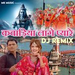 Kawadiya Laage Pyaare DJ Remix