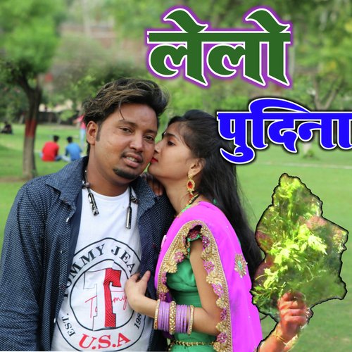 Lelo Pudeena_poster_image