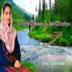 Mahi Gheran Nal Chaliya