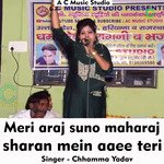 Meri araj suno maharaj sharan mein aaee teri (Hindi Song)