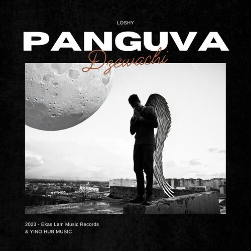 Panguva Dzewachi_poster_image