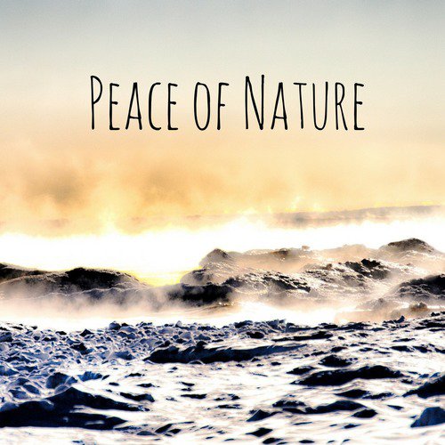 Peace of Nature