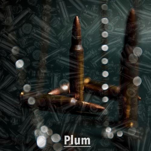 Plum cover art