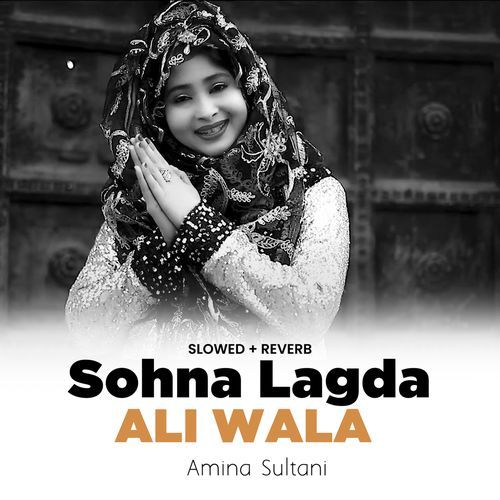 Sohna Lagda Ali Wala (Lofi-Mix)