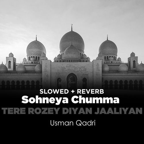 Sohneya Chumma Tere Rozey Diyan Jaaliyan (Lofi-Mix)