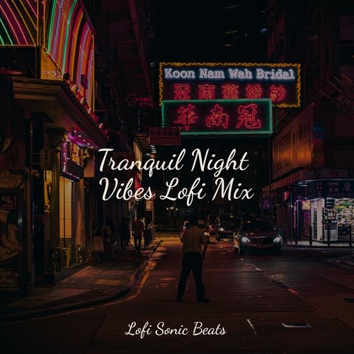 Tranquil Night Vibes Lofi Mix