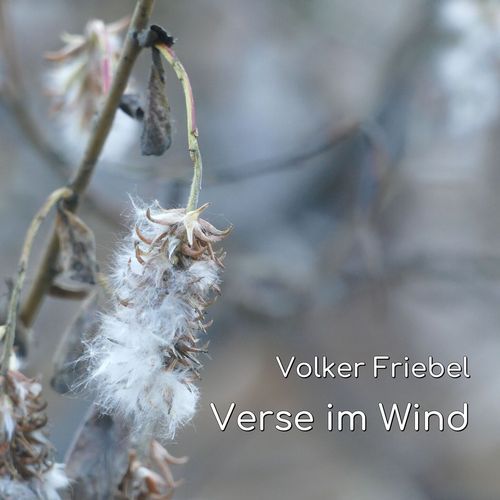 Verse im Wind cover art