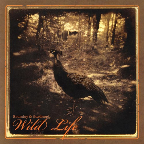 Wild Life_poster_image