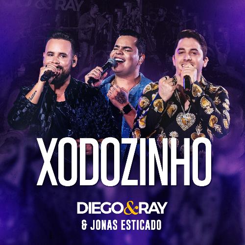 Xodozinho (Ao Vivo)_poster_image