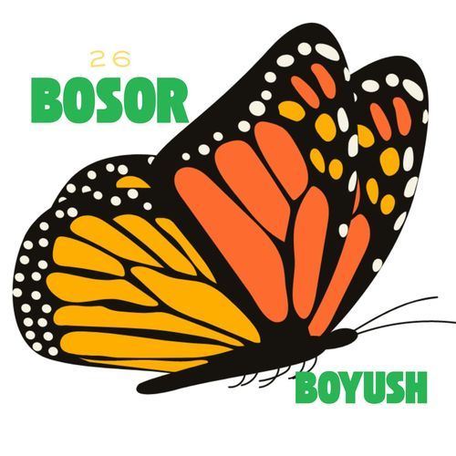 26 bosor boyush