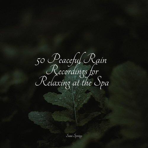 50 Rain Sounds for Sleep and Serenity