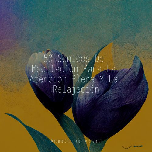 50 Sonidos De Meditación Para La Atención Plena Y La Relajación