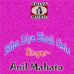 Biha Diye Bhuli Gele