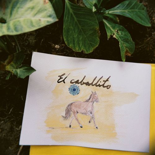 El caballito