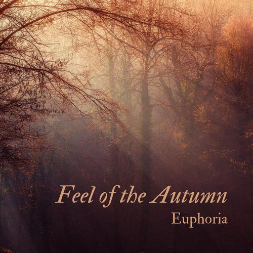 Feel of the Autumn