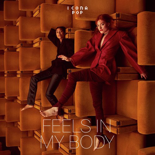 Feels In My Body_poster_image