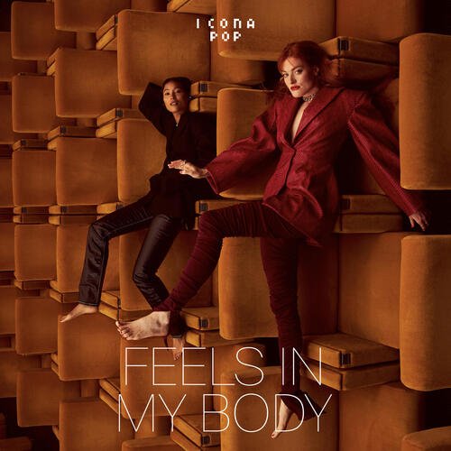 Feels In My Body cover art