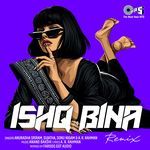 Ishq Bina (Remix)
