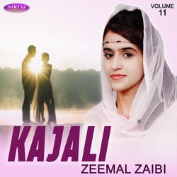 Zeemal Zaibi