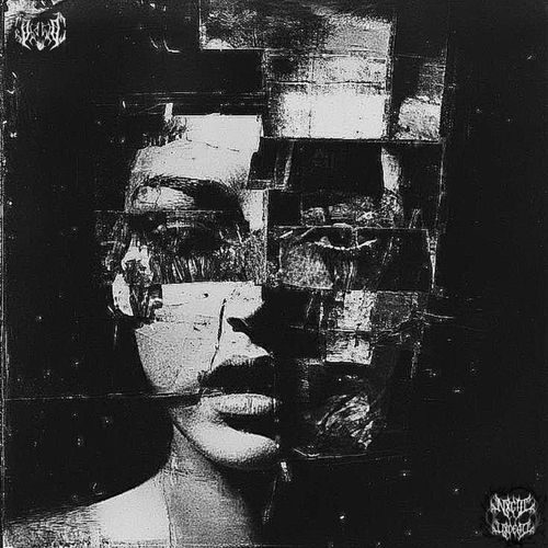 Little White cover art