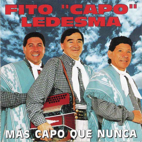 Acordeón Chamamecero cover art