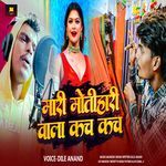 Mari Motihari Wala Kach Kach