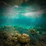 Meditate and Relax with Underwater Sound