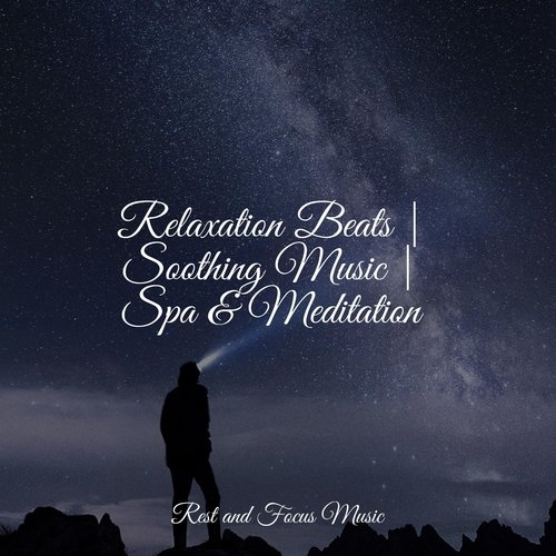 Relaxation Beats | Soothing Music | Spa & Meditation