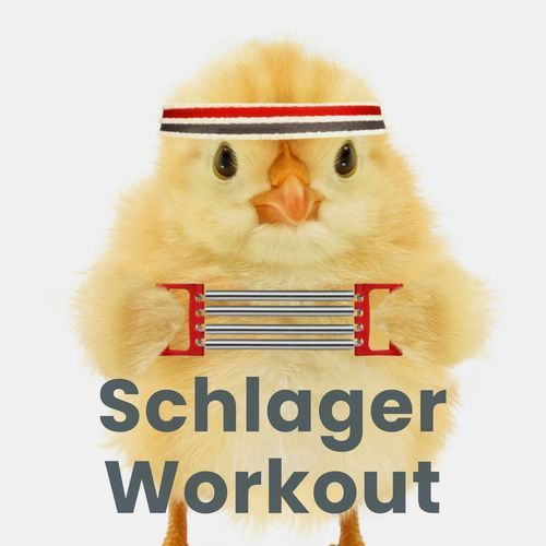 Schlager Workout