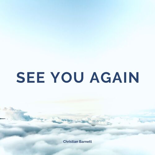 See You Again_poster_image