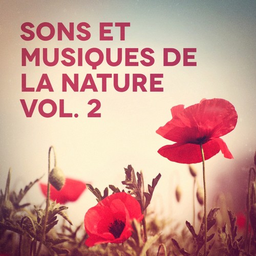 Sons et musiques de la nature, Vol. 2