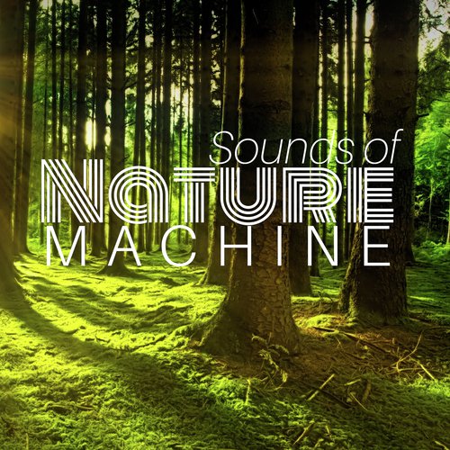 Instrumental Zone cover art
