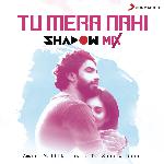 Tu Mera Nahi (Shadow Mix)