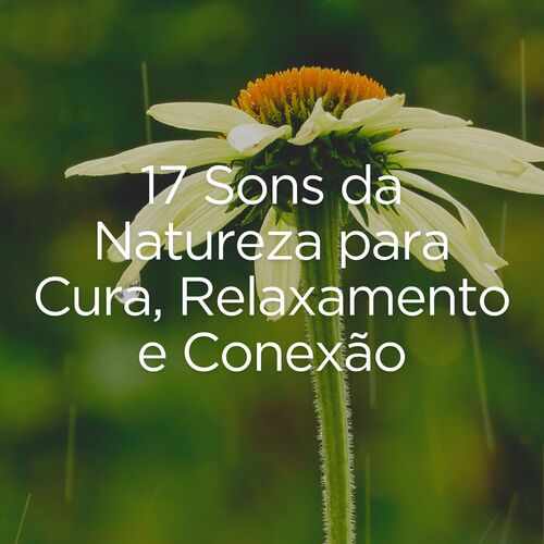 17 Sons da Natureza para Cura, Relaxamento e Conexão_poster_image