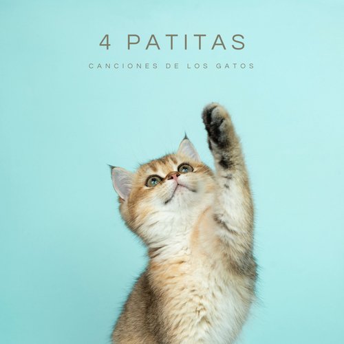 Música De Perros Calmantes cover art