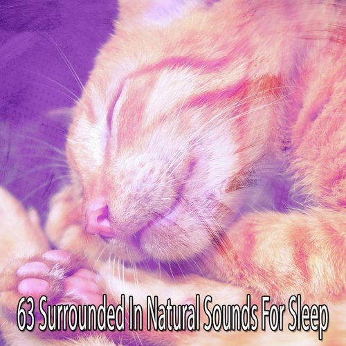 63 Surrounded in Natural Sounds for Sleep