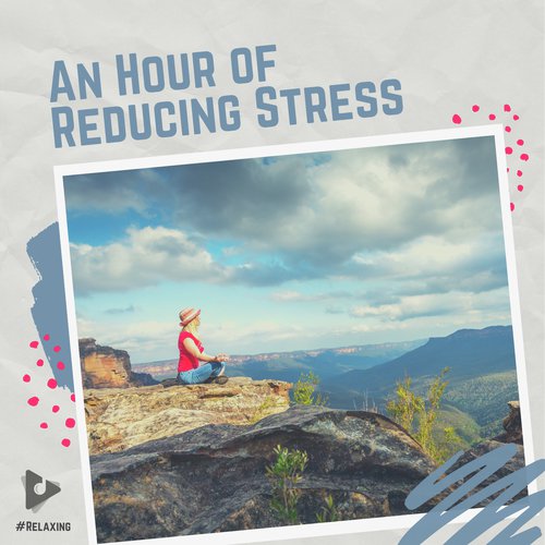 An Hour of Reducing Stress